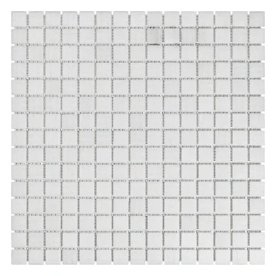 R-MOS B11 біла 20x20 на сiтцi Stella di Mare