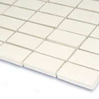 Мозаика из керамогранита Kotto Ceramica MI7 23460110C Salino 300 x 300 х 7 (прямоугольник 23 x 46)