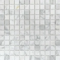 Мозаїка Vivacer SPT 117