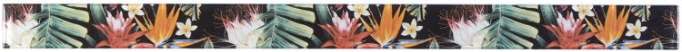 Фриз стеклянный Kotto Ceramica GFР 9050044 print44  50 х 900 х 8