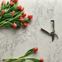 Caesarstone 5043 Montblanc