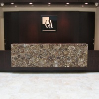 Caesarstone 8330 Petrified Wood