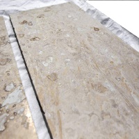 Плитка з травертину Light Filled and Honed 1,2х30,5х45,7 см, бежева матова заповнена шліфована Standart 2-nd ch.
