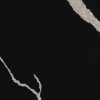 Avant Quartz 7600 Калакатта ле Нор