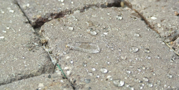 Просочення захисне Bausto FOB-F7 10л волого брудовідштовхуюче гідрофоб для бетону бруківки пісковика