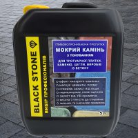 Просочення захисне Bausto Black Stone 5л проти вологи бруду з тонуючим ефектом для бетону цегли стін