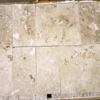 Плитка з травертину Light Filled and Honed 1,2х20,3х40,6 см, бежева матова заповнена шліфована Standart 2-nd ch.