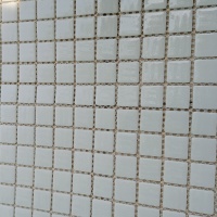 Скляна мозаїка MK25101 WHITE