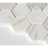 Мозаика из мрамора Vivacer (Вивасер) SB12